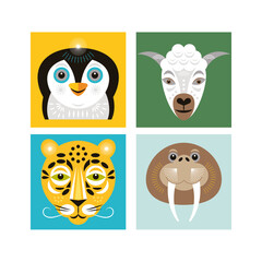 Animals faces. Vector illustrations. Animal portraits. Zoo collection. Penguin, sheep, walrus and leopard.