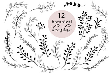 Set of botanical brushes, rustic hand drawn branches and leaves