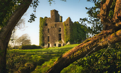Beautiful green scenery of ruins of the Menlo castle in Galway, Ireland 