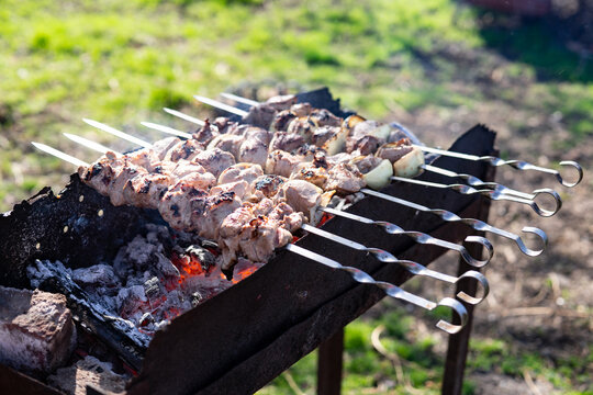 photo out of focus pork barbecue on magal in nature
