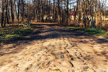 Droga z kamieni w lesie.
