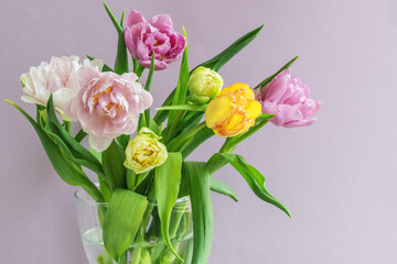 A bouquet of beautiful tulips on a lilac background .