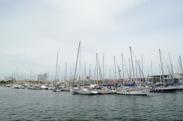 Fototapeta premium yachts in marina