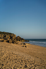 Vertical shot of a rocky seashore

