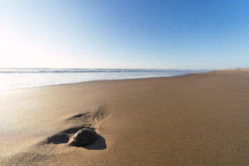 Fototapeta na wymiar Piedra colocada en la arena con el atardecer y la playa de fondo