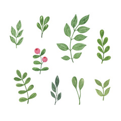 Watercolor simple green leaves set, hand drawn botanical floral illustration for any design purposes can be used for different design purposes, greeting cards, invitations, wedding decor, menu, banner
