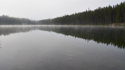 reflection of trees in water