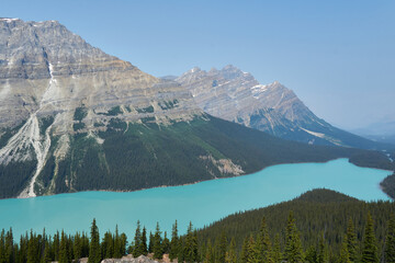 peyto lake in canadian rockies