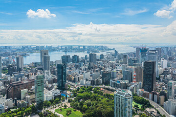 Aerial view of Tokyo from Tokyo Tower, Japan
