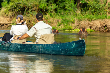 Watching hippos and canoes on the Zambezi River