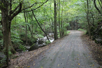 Fototapeta premium Pathway in canyon of Zadiel valley in eastern Slovakia