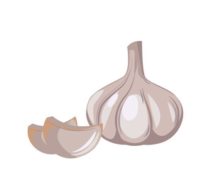 Garlic isolated on white background. Icon vector illustration.