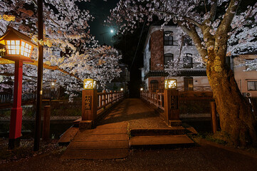 japan,onsen,travel,japanese,culture,romantick,romance,novel,night,mysterious,cherryblossom,cherry,nature,adventure,asia,