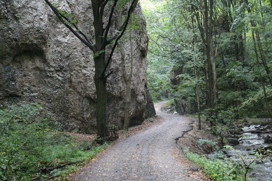 Pathway in canyon of Zadiel valley in eastern Slovakia