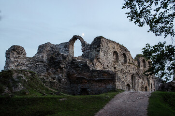 Fototapety na wymiar - Fototapeta24.pl