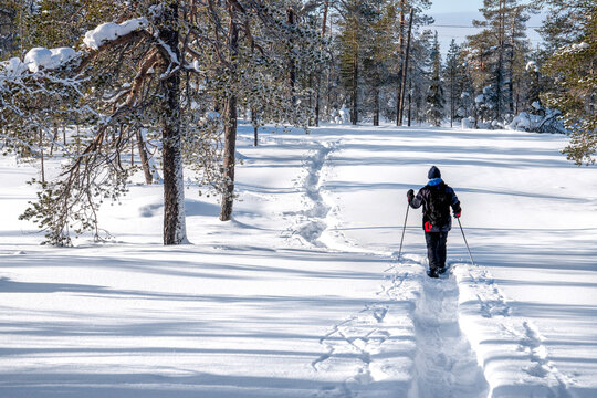 Snowshoeing in Lapland Finland