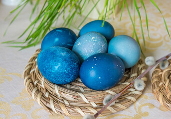 Fototapeta na wymiar Natural dyed blue colored Easter eggs on the table with willow branch. Happy Easter.