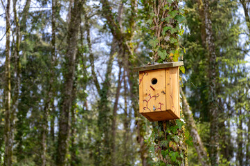 Vogelhäuser im Stadtwald von Schopfheim