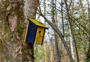 Vogelhäuser im Stadtwald von Schopfheim