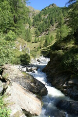 Mountain stream in the Alps of Antrona Schieranco, Piedmont (Italy)