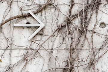 Arrow sign and withered vines on wall