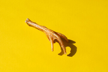 Fototapeta premium one chicken paw with shadow on yellow background