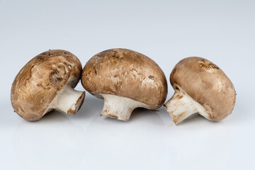 Pilze: Drei Braune Champignons / Zuchtchampignons