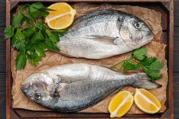 Raw dorado fish with lemon and parsley in a dish on the table. Top View