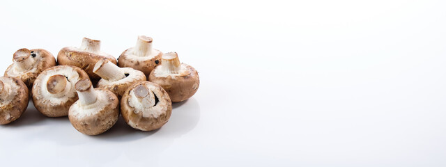 Banner / web /deko: Braune Champignons / Zuchtchampignons liegen links auf einem weißen Hintergrund