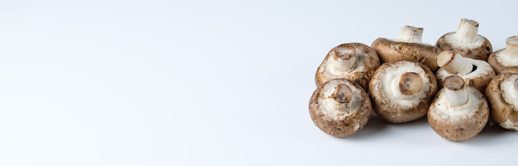 Banner / Deko / Quer: Pilze: Braune Champignons liegen rechts auf weißem Hintergrund