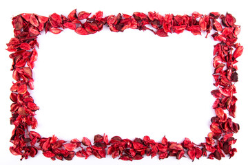 Fototapeta na wymiar Red leaves frame on a white background