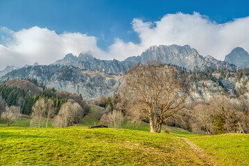 Spring landscape in the Alps with fresh green mountain pastures and mountain tops in the background. Spring landscape. Switzerland, Europe