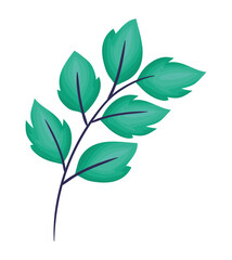 emerald leaves illustration
