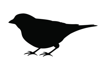 The spring bird icon is isolated on a white background. Linnet bird silhouette