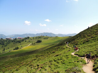 Trekking por los montes de Alpbach. Austria.