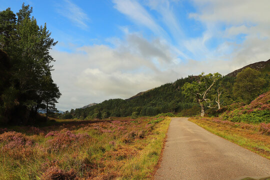 Winding Path Through Glen Strathfarrar 