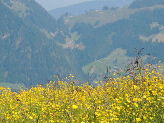 Trekking por los montes de Alpbach. Austria.