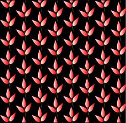 Abstract pattern of flowers with black background