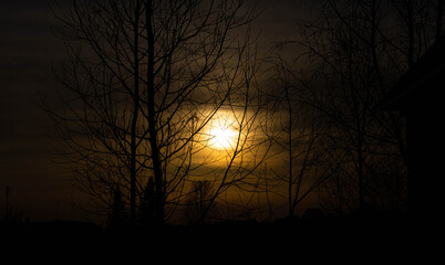 Naklejka premium the village and the trees in the sunset, the thick twilight on a spring evening
