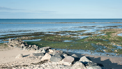 Littoral à marée basse