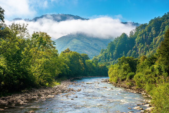 mountain river landscape in summer. wonderful nature scenery on foggy morning. clouds rolling over the distant hill. trees along the stream in the valley. sunny weather with blue sky