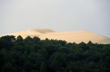 Dune du Pilat, Bassin d'Arcachon, Landes de Gascogne, 33, Gironde