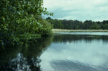 Etang, Sologne, région Centre Val de Loire, Loiret, 45,