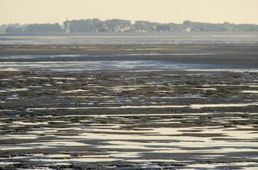 Baie de Somme, 80, Somme, Région Hauts de France