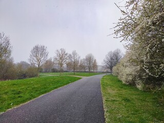 Frühling in Hannover Bemerode.