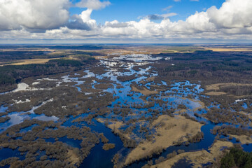 Water fields, spring floods on the Berezina River! Flooded forest in the floodplain!