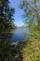 La Fosse aux Carpes, Réserve naturelle, Draveil, 91, Essonne