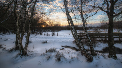 snow landscape north germany in the morning with sunlight