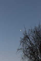 Brightly shining moon in a cloudless night sky