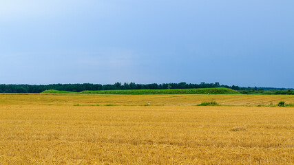 Fototapeta premium Czermno - grodzisko